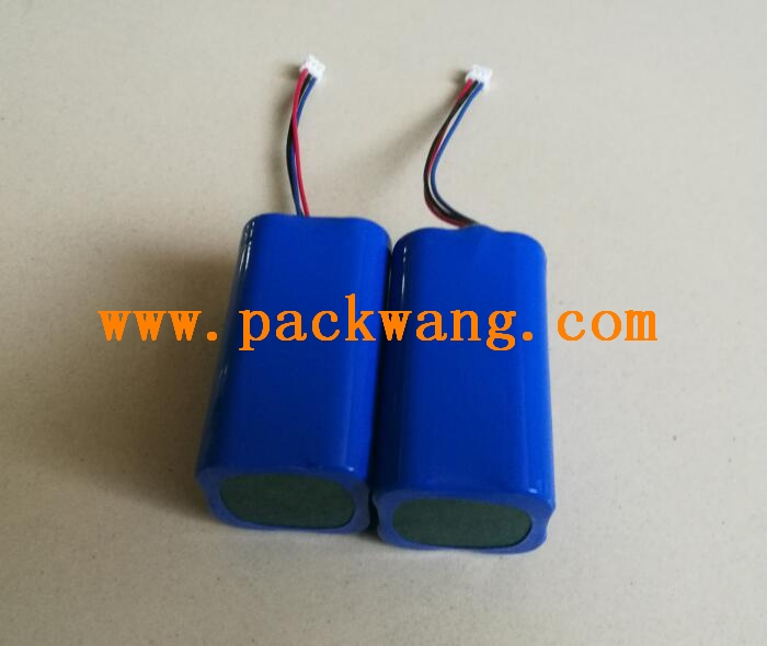 锂电池PACK组装后的成品电池组